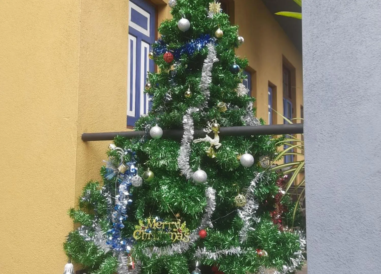 Blue Pillars קנדי